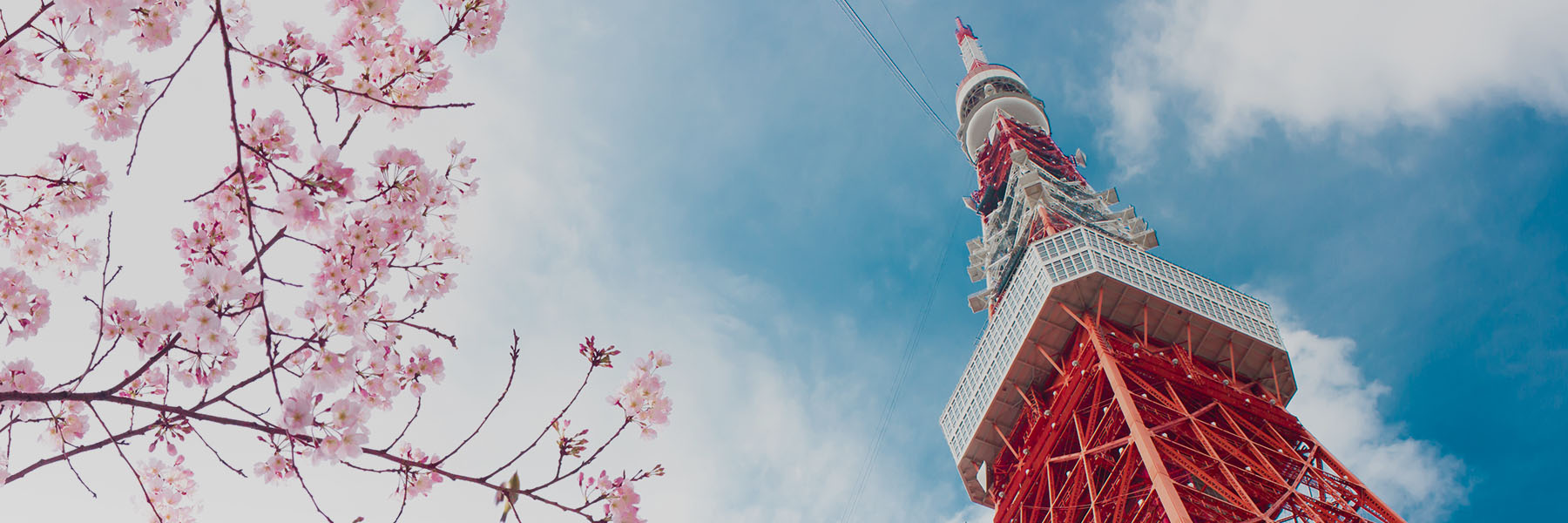 Japan Visa UHI japan-visa-uhi